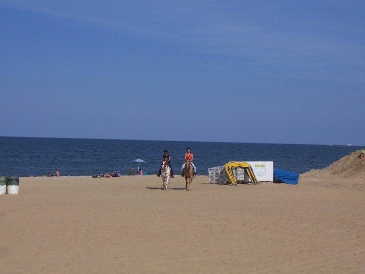 Hyatt House Virginia Beach / Oceanfront Exterior foto